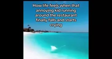 Music To Toilet Seat Cover Meme Download | Video & Audio Meme Video