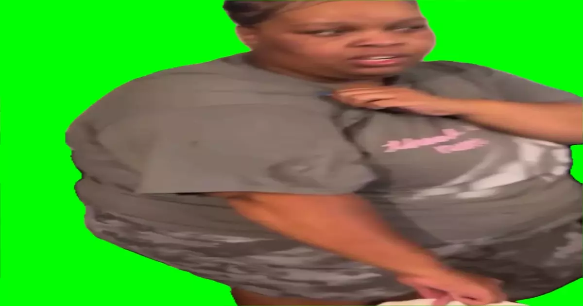 My Ariana Grande Shirt On Green Screen Meme Download Video