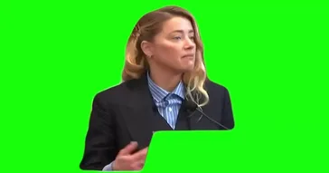 My Dog Stepped On A Bee Green Screen Meme Video