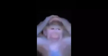 Kiye Kya Ho Tum Tum Konsa Jhanda Gad Diye Ho Trending Instagram Meme Download Video