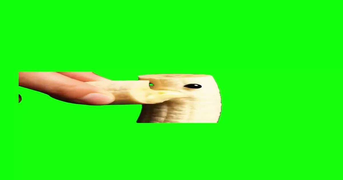 Niche Fruit Eating Green Screen Meme Download Video