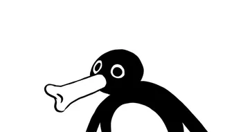 Noot Noot Meme Video