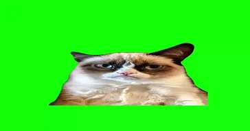 Og Grumpy Cat Sigh Green Screen Meme Video