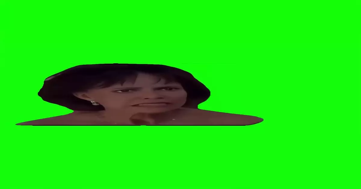 Oh My God The Whole Time Green Screen Meme Download Video