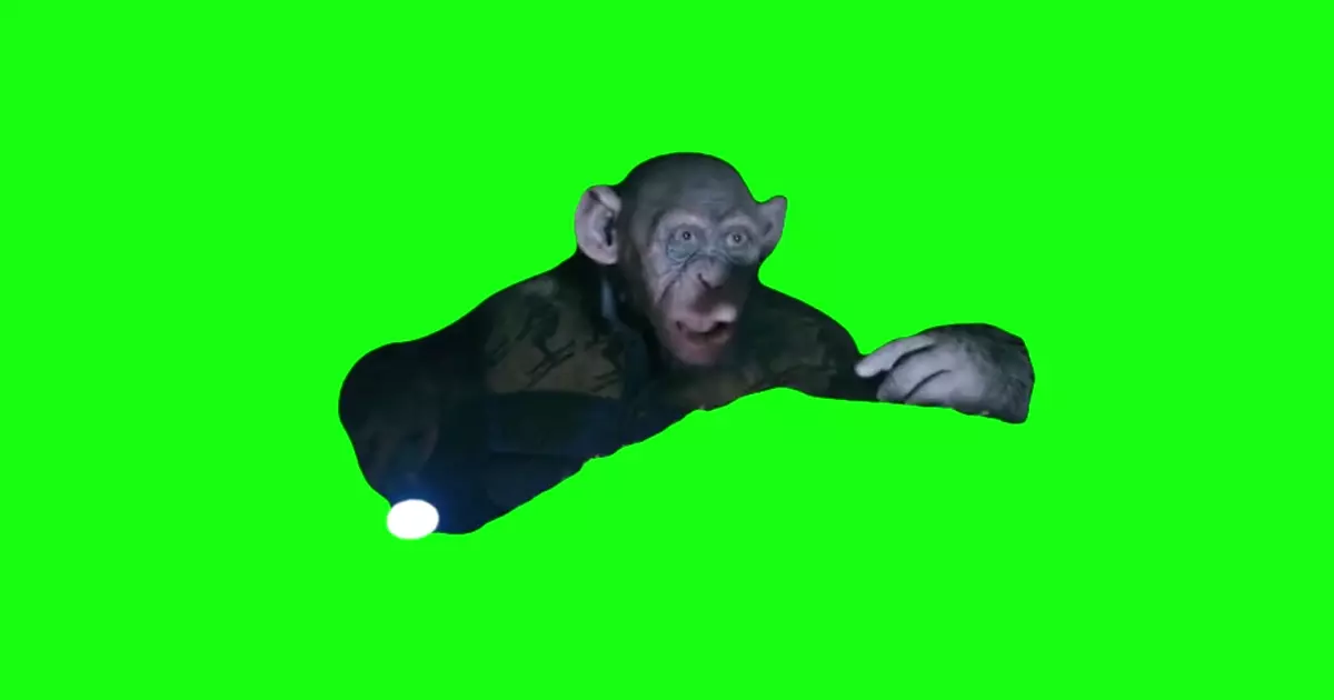 Oh No Planet Of The Apes Meme Download Video