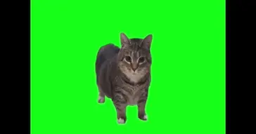 Oi Oi Oi Meme Download | Video & Audio Meme Video