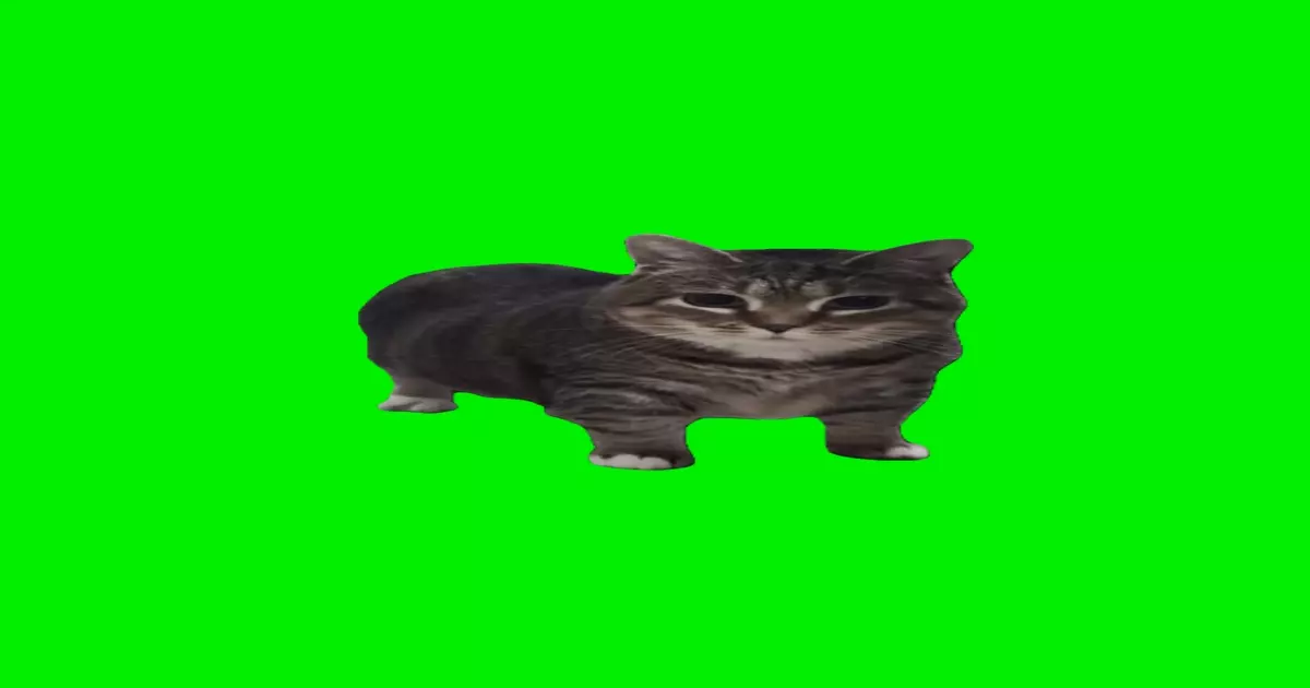 Oiia Spinning Cats Green Screen Meme Download Video