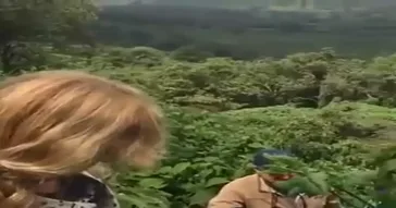 Okay Lets Go Meme Download | Video & Audio Meme Video