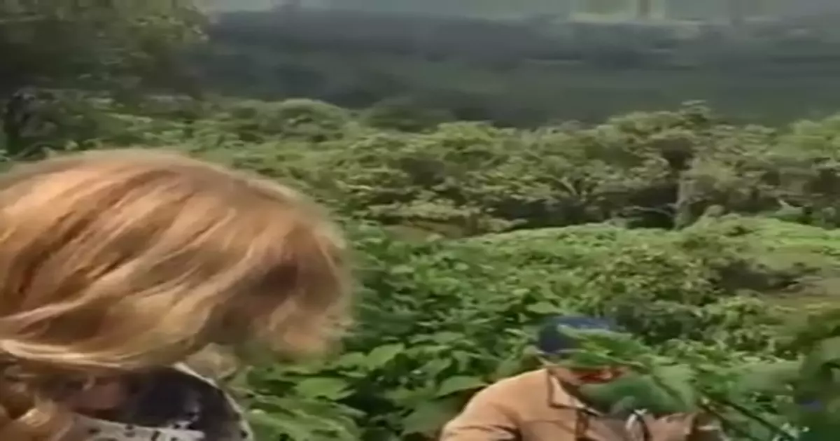 Okay Meme Download Video