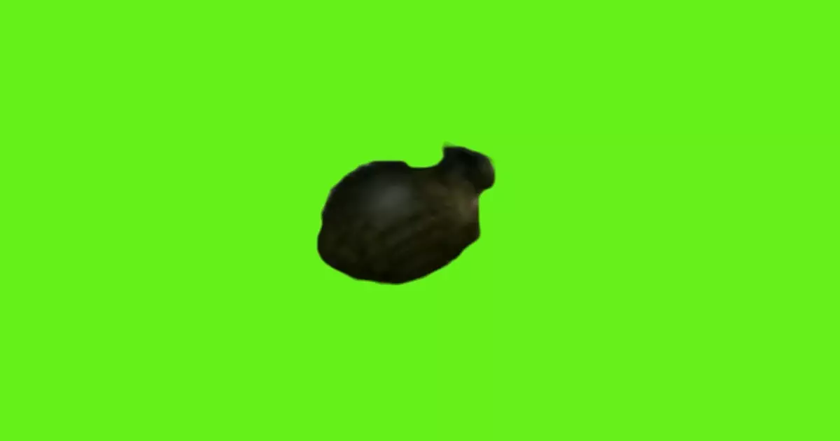 Oo Ee A E A Cat Green Screen Meme Download Video