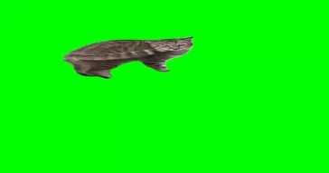 Chipi Chipi Chapa Chapa Cat Green Screen Meme Download Video