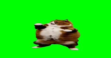 Get It Sexy Dance Meme Download | Video & Audio Meme Video