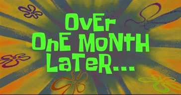 Over One Month Later Video