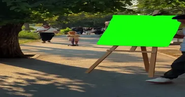 Painting Reveal Green Screen Meme Video