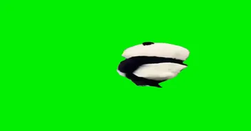 Dancing Panda Meme Download | Video & Audio Meme Video