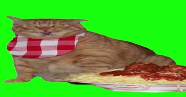 Chipi Chipi Chapa Chapa Cat Green Screen Meme Download Video