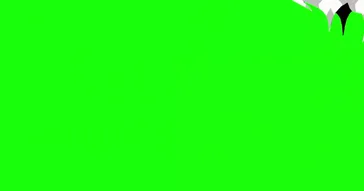 Persona 5 Victory Green Screen Meme Video