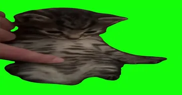 Pugs So Vocal Green Screen Meme Download | Video & Audio Meme Video