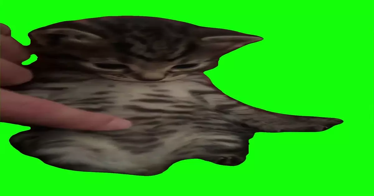 Pibble Rummy Rub Green Screen Meme Download Video