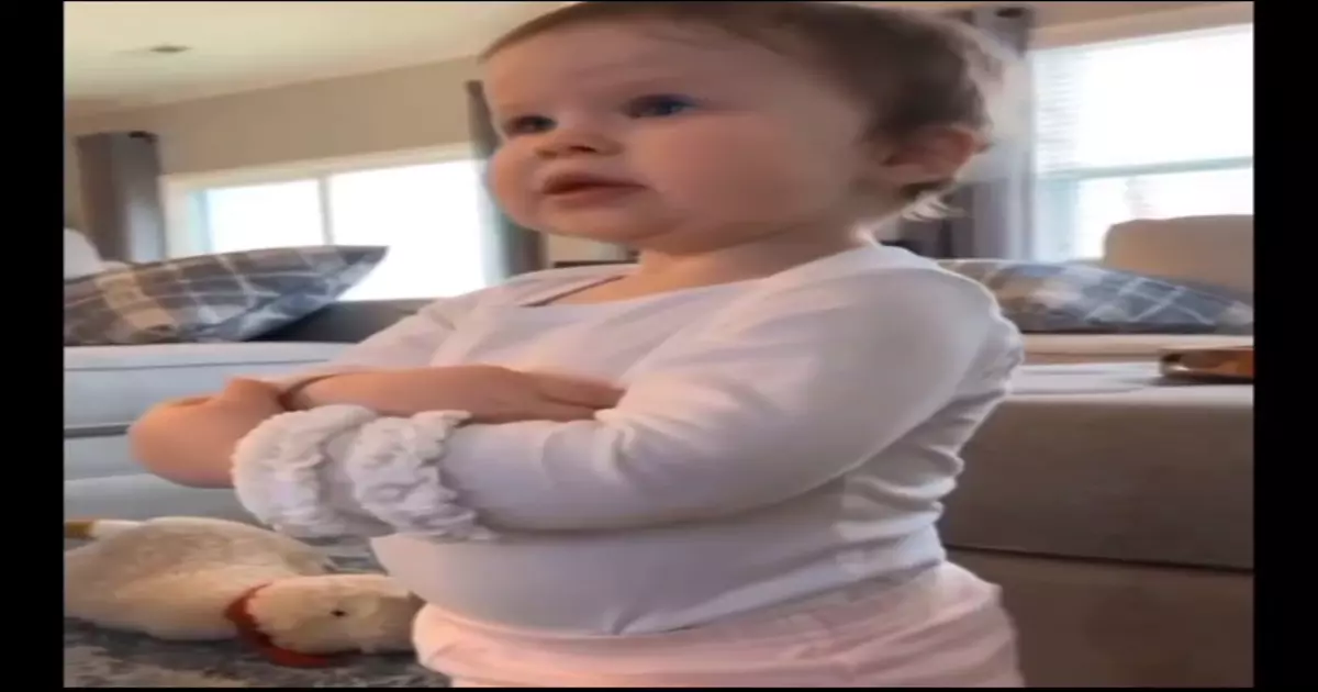 Plot Twist Meme Download Video