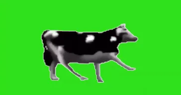 Cow Milk Spray Meme Download | Video & Audio Meme Video