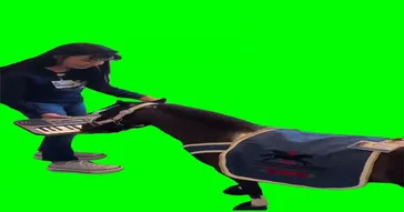 Pony Playing Piano Meme Video