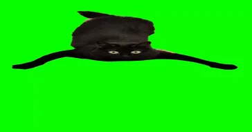 Prey Watching Meme Download Video