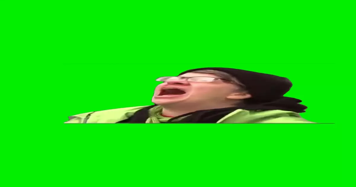 Protester Woman Screams Nooooo Green Screen Meme Download Video