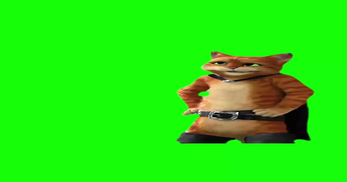Puss In Boots I Am Not Really A Math Guy Meme Download Video