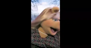 Quiet Piggy Meme Download | Video & Audio Meme Video