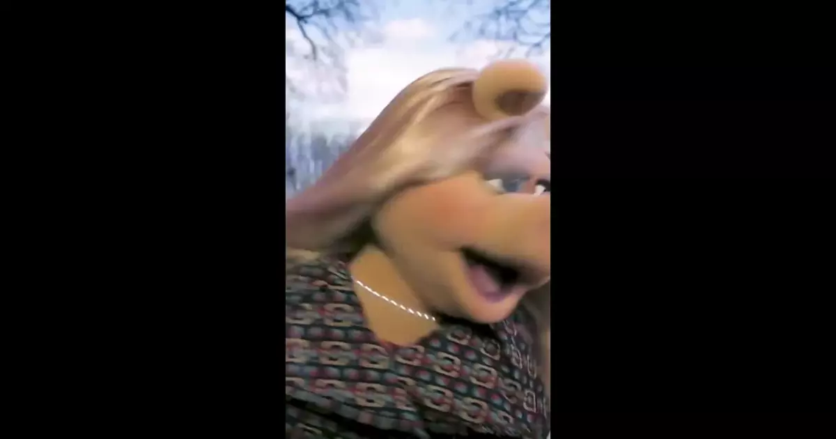 Quiet Piggy Video Meme Download Video