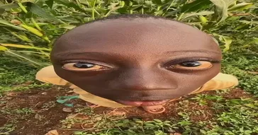 African 50 Cent Meme Download | Video & Audio Meme Video