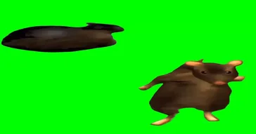 Oiia Oiia Cat Meme Download | Video & Audio Meme Video