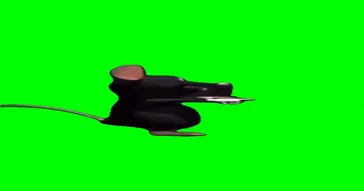 Dancing Rat Green Screen Meme Download | Video & Audio Meme Video