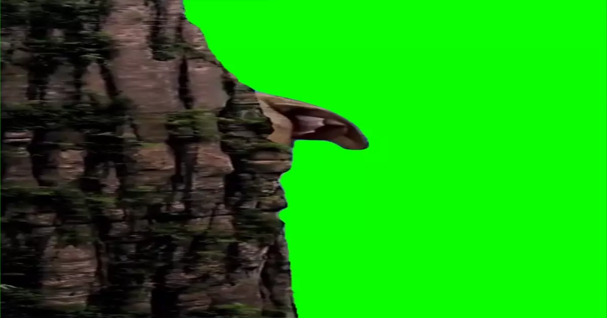 Rizz Dog Meme Download Video