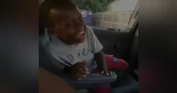 Robert B Weide Meme Video