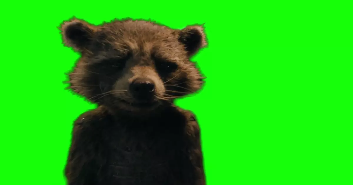 Rocket Raccoon Screaming Crying Green Screen Meme Download Video