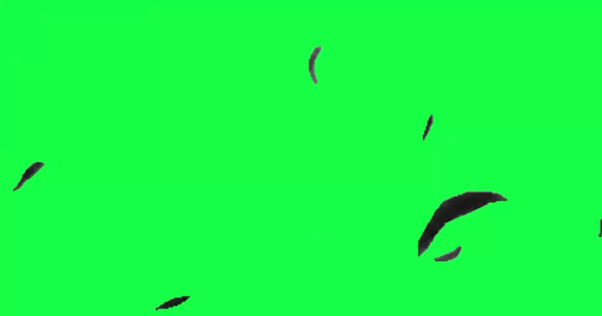 Ryuk Death Note Anime Green Screen Meme Download Video