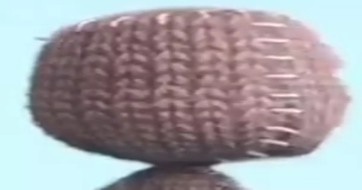 Sack Boy Meme Download Video