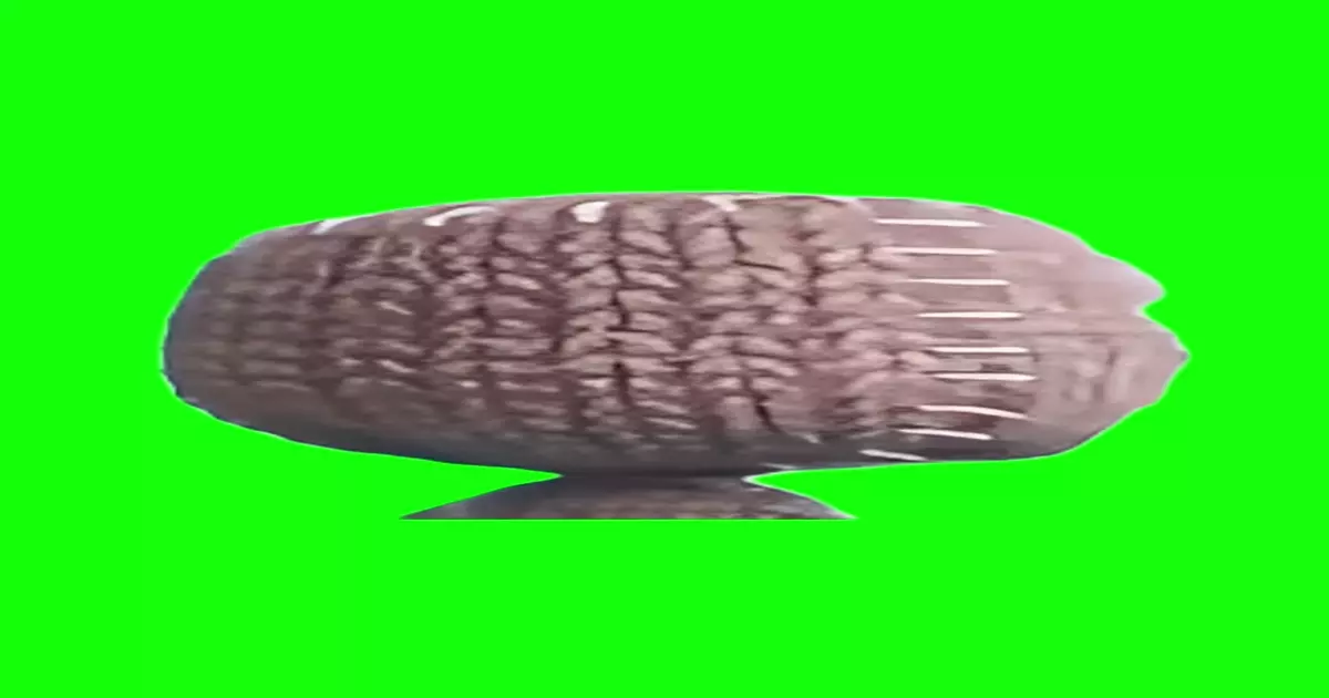 Sackboy Meme Download Video