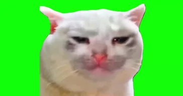 Sad Cat Green Screen Meme Download | Video & Audio Meme Video
