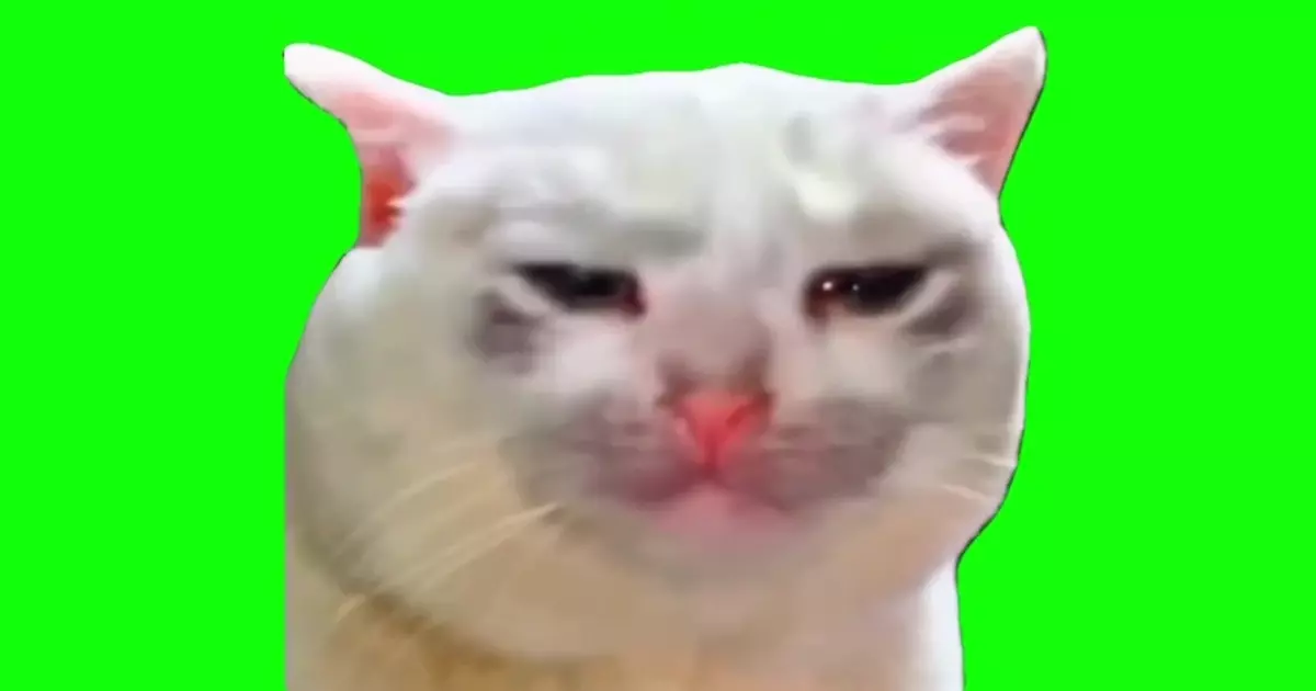 Sad Cat Crying Green Screen Meme Download Video
