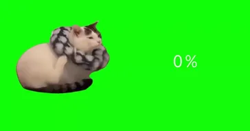 Sad Cat Green Screen Meme Download | Video & Audio Meme Video