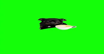 Sad Dog Thinking Green Screen Meme Video