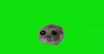 Sad Hamster Green Screen Meme Download | Video & Audio Meme Video