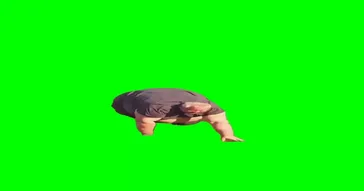 Cow Stampede Green Screen Meme Download | Video & Audio Meme Video