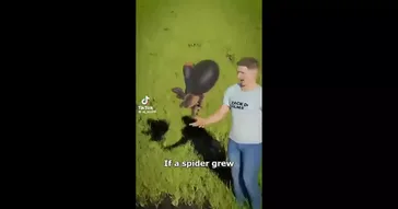 Scared Man Funny Meme Download | Video & Audio Meme Video