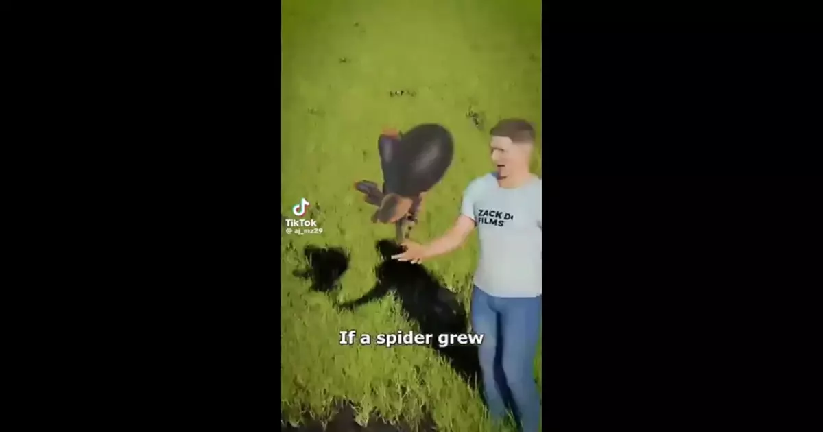 Scary Spider Concepti Hilarious Funny Meme Download Video