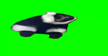 Chicken Screaming Meme Download | Video & Audio Meme Video