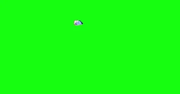 Lady Screaming Green Screen Meme Download | Video & Audio Meme Video